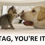 Tag, You’re It!  The Importance of Tagging in Social Media Engagement