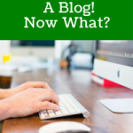 You Published A Blog! Now What?