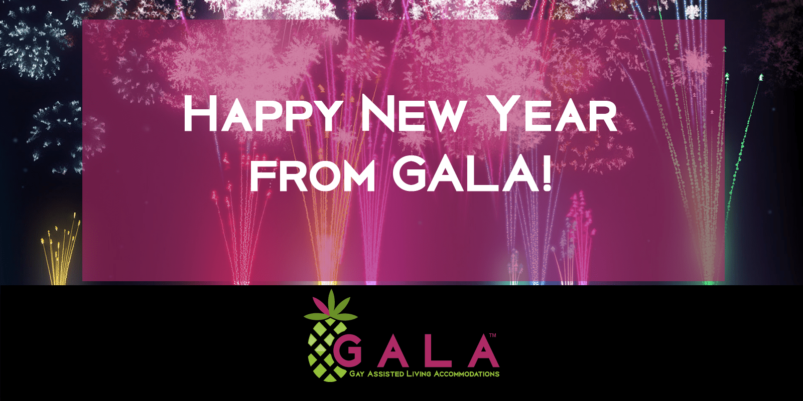 Happy New Year From Gala