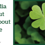 Social Media Success Isn’t About Luck, It’s About Expertise